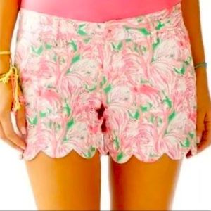 Lilly Pulitzer scalloped flamingo buttercup shorts size 0
